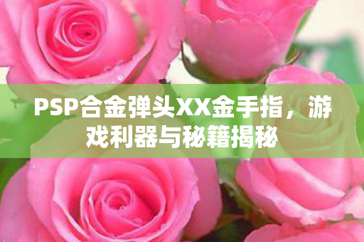 PSP合金弹头XX金手指图片
