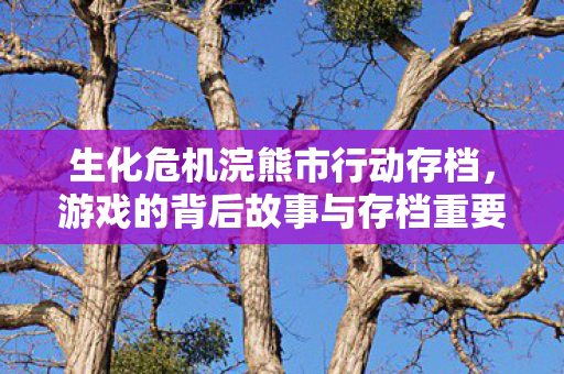 游戏的背后故事与存档重要性图片