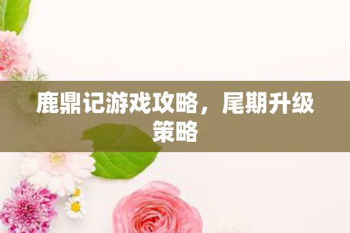 鹿鼎记游戏攻略图片