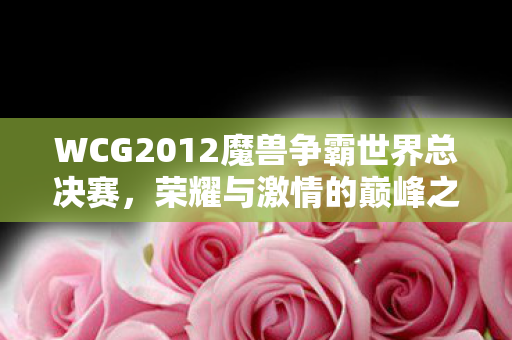 WCG2012魔兽争霸世界总决赛图片