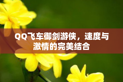 速度与激情的完美结合图片