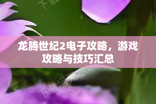 龙腾世纪2电子攻略图片