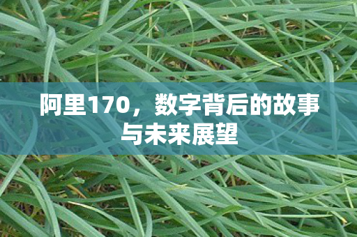 数字背后的故事与未来展望图片