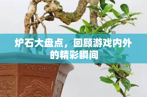 回顾游戏内外的精彩瞬间图片