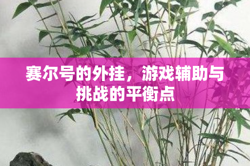 游戏辅助与挑战的平衡点图片
