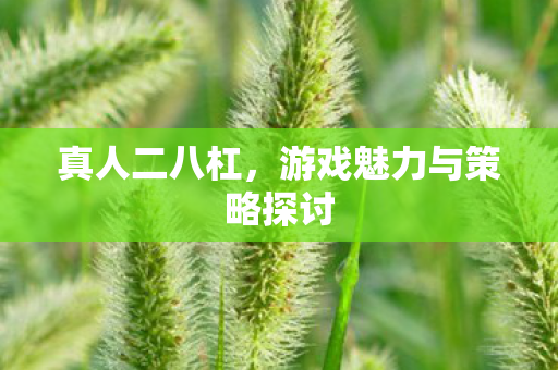 游戏魅力与策略探讨图片