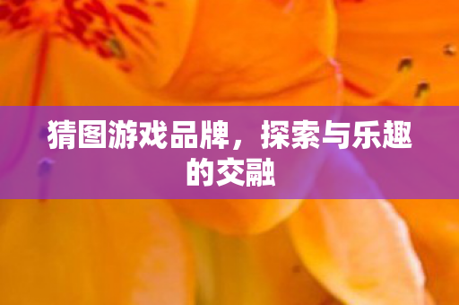 探索与乐趣的交融图片