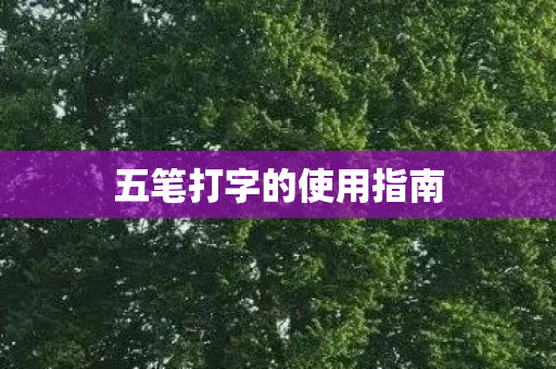 五笔打字的使用指南图片