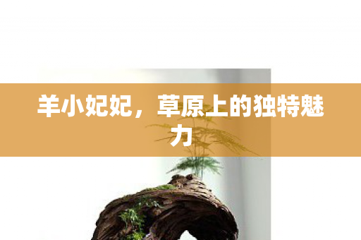 草原上的独特魅力图片