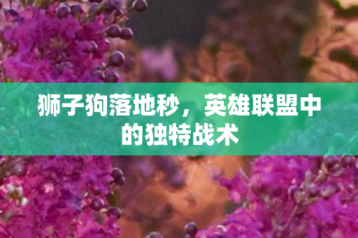 英雄联盟中的独特战术图片