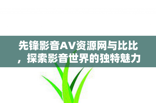 先锋影音AV资源网与比比图片