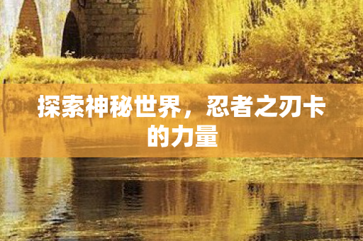 忍者之刃卡的力量图片