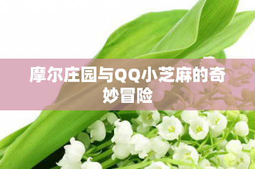 摩尔庄园与QQ小芝麻的奇妙冒险图片
