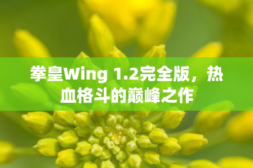热血格斗的巅峰之作图片