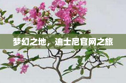 迪士尼官网之旅图片