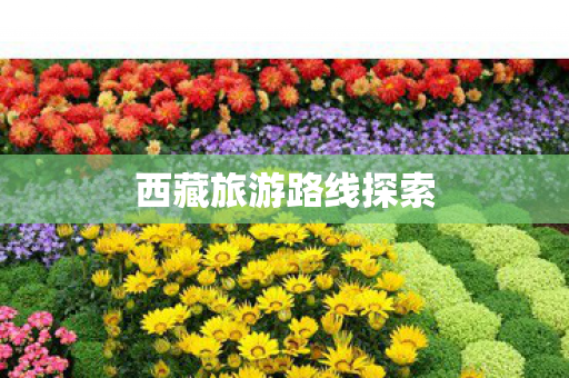 西藏旅游路线探索图片