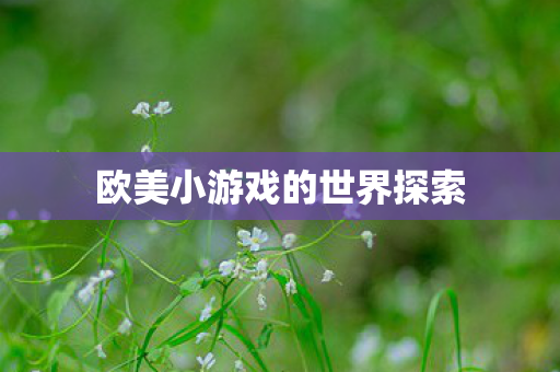 欧美小游戏的世界探索图片