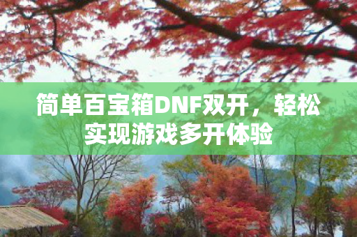 简单百宝箱DNF双开图片