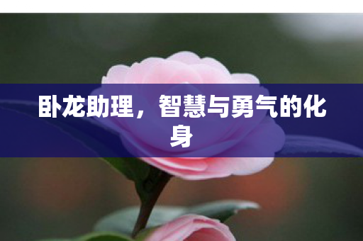 智慧与勇气的化身图片