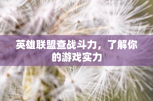 英雄联盟查战斗力图片