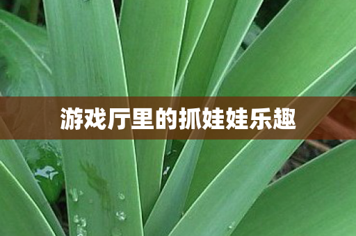 游戏厅里的抓娃娃乐趣图片