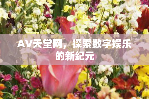 探索数字娱乐的新纪元图片