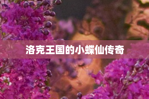洛克王国的小蝶仙传奇图片