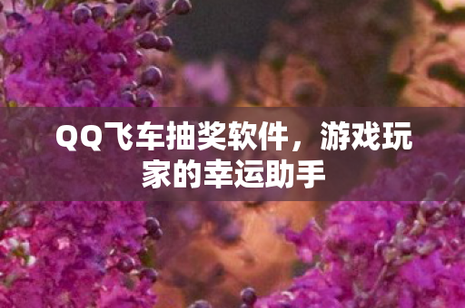 游戏玩家的幸运助手图片