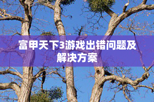 富甲天下3游戏出错问题及解决方案图片
