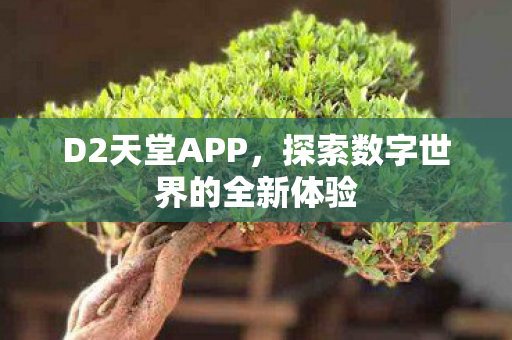 探索数字世界的全新体验图片