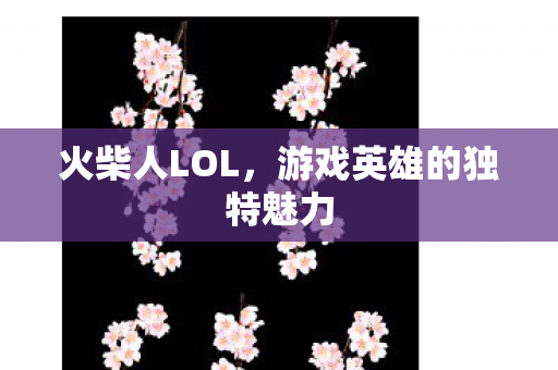 游戏英雄的独特魅力图片