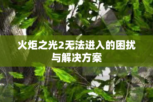火炬之光2无法进入的困扰与解决方案图片
