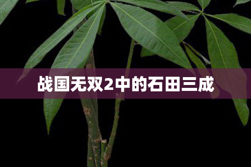 战国无双2中的石田三成图片
