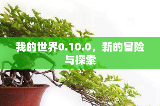 新的冒险与探索图片