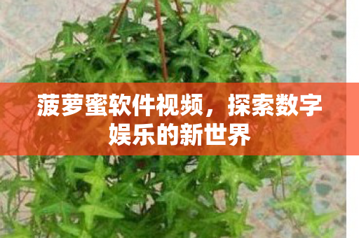 探索数字娱乐的新世界图片