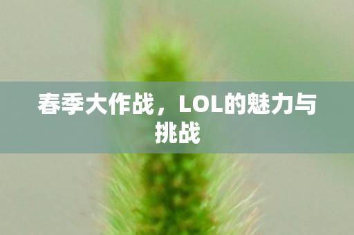 LOL的魅力与挑战图片