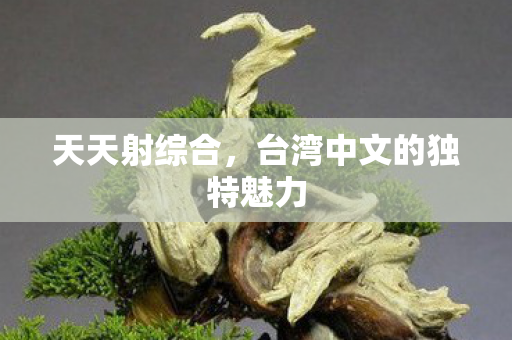 台湾中文的独特魅力图片
