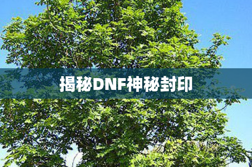 揭秘DNF神秘封印图片