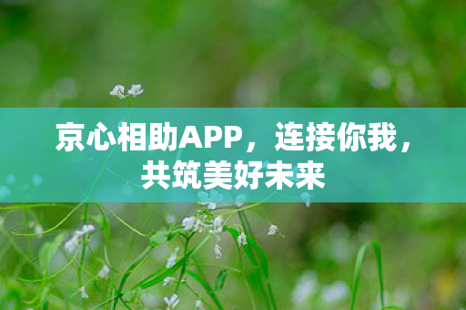 京心相助APP图片