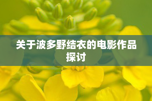 关于波多野结衣的电影作品探讨图片