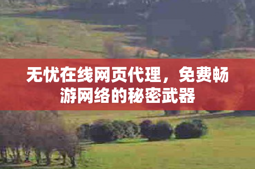 免费畅游网络的秘密武器图片
