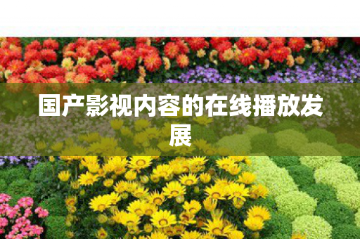 国产影视内容的在线播放发展图片