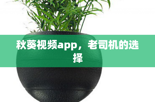 秋葵视频app图片