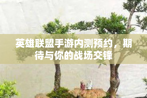 英雄联盟手游内测预约图片