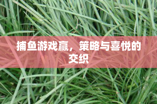 策略与喜悦的交织图片