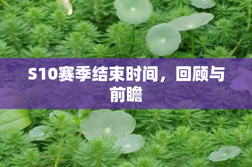 S10赛季结束时间图片