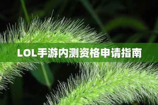 LOL手游内测资格申请指南图片