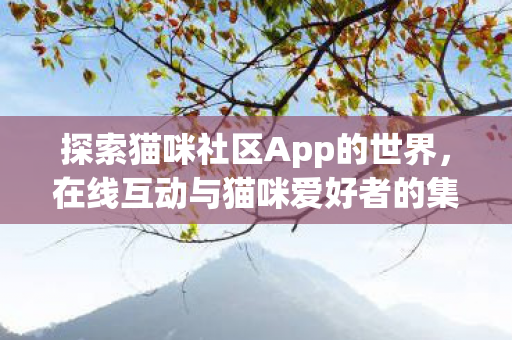 在线互动与猫咪爱好者的集结地图片