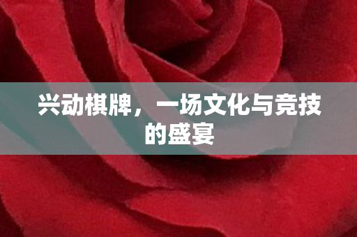 一场文化与竞技的盛宴图片