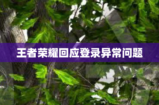 王者荣耀回应登录异常问题图片